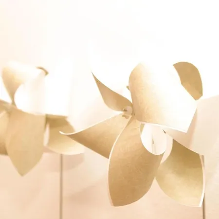 Haus Stockente Waldstrasse